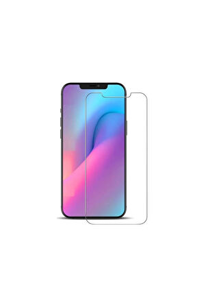 Iphone 12 Mini Nano Ekran Koruyucu Cam - Ultra Ince K2