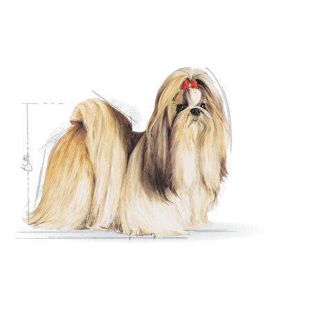 Royal Canin Shih Tzu Yetişkin Kuru Köpek Maması 1.5kg