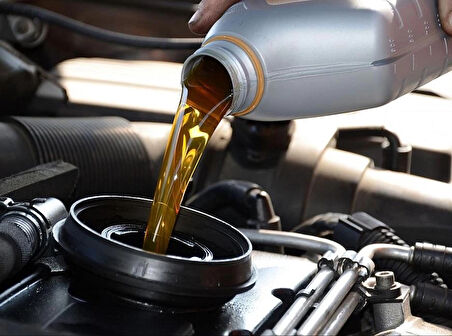 Shell Gadus S2 V100C 3 15 Kg Genel Amaçlı Rulman Gresi