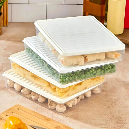 bigmate 2'li Şeffaf Saklama Kabı 2x2,5 Lt BGMT2225 Mikrodalga Buzdolabı ve Dondurucu Uyumlu Düzenleyici