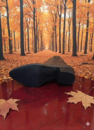 Trendyshose 06749 Kalın Topuk Rahat Kadın Günlük Bot