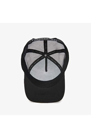 101-1231 Cock Will Prevail