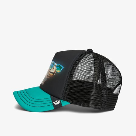 Goorin Bros Concrete Habitat - Miami Unisex Siyah Şapka