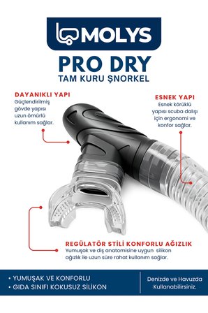 MOLYS ANGEL DALIŞ MASKESİ + ANTI FOG (BUĞU ÖNLEYİCİ FİLM) + PRO FULL DRY TAM KURU ŞNORKEL + MASKE KUTUSU SET