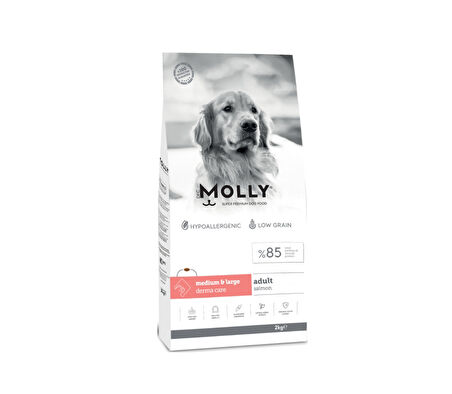 Molly Medium Adult Derma Care Somonlu Orta ve Büyük Irk Yetişkin Köpek Maması 2 Kg