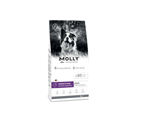 Molly Medium Adult Kuzu Etli & Yaban Mersinli Orta ve Büyük Irk Yetişkin Köpek Maması 2 Kg