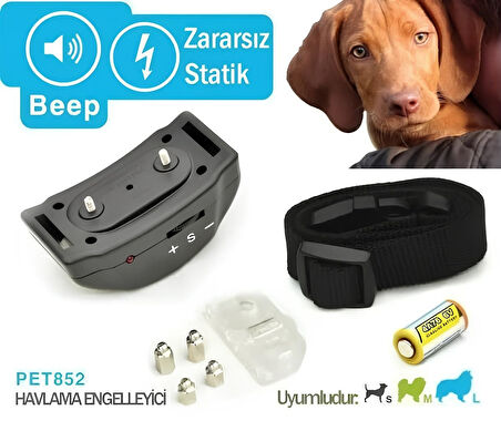 Köpek Havlama Önleyici Tasma