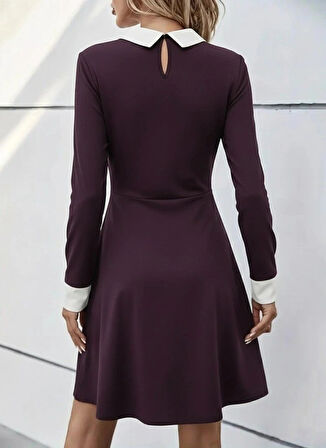 Kadın Uzun Kollu Yakalı Düğmeli Mürdüm Modal Mini Elbise