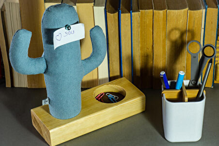 Kayigo Cactus XL + Station Organizer Mavi