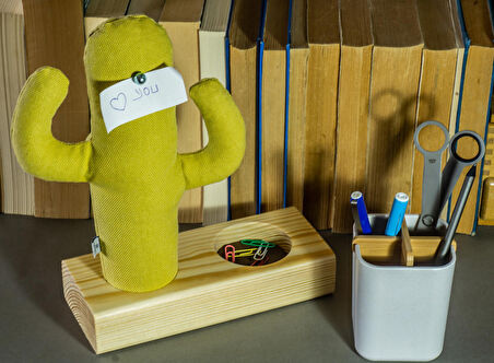 Kayigo Cactus XL + Station Organizer