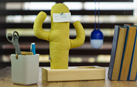 Kayigo Cactus XL + Station Organizer