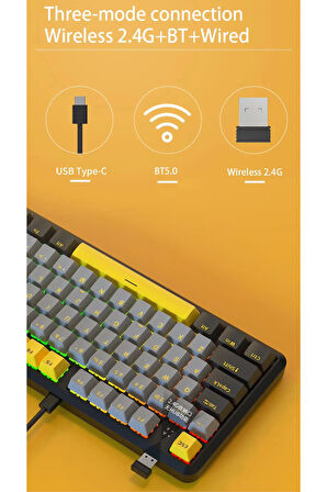 K870T Pro 3 Modlu  Uyumlu Hot-Swap RGB, Mekanik Klavye - Siyah