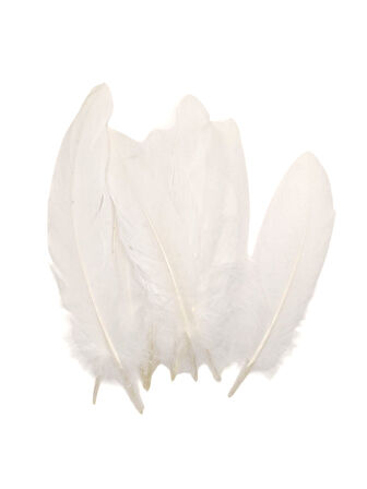 Beyaz Tüy El İşi Tüyleri, Okul Öncesi Etkinlik Tüy 10 Lu - 1 Paket