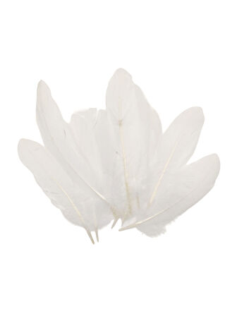 Beyaz Tüy El İşi Tüyleri, Okul Öncesi Etkinlik Tüy 10 Lu - 1 Paket