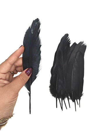 Siyah Tüy El İşi Tüyleri, Okul Öncesi Etkinlik Tüy 10 Lu - 1 Paket