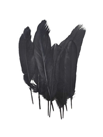 Siyah Tüy El İşi Tüyleri, Okul Öncesi Etkinlik Tüy 10 Lu - 1 Paket