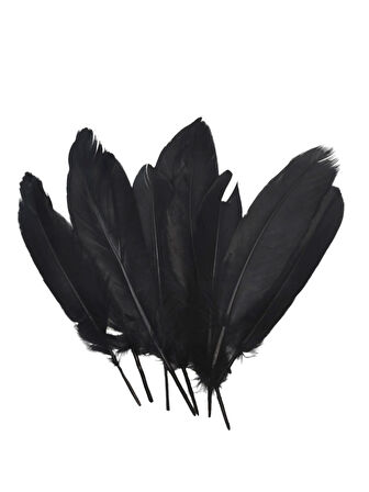 Siyah Tüy El İşi Tüyleri, Okul Öncesi Etkinlik Tüy 10 Lu - 1 Paket