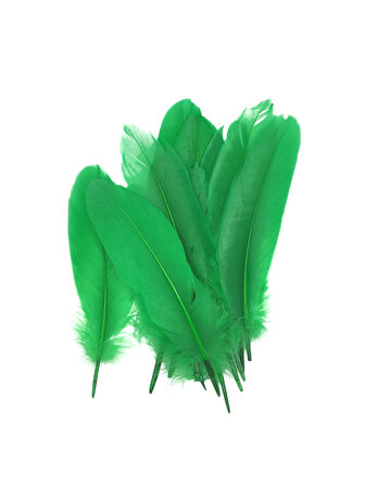 Yeşil Tüy El İşi Tüyleri, Okul Öncesi Etkinlik Tüy 10 Lu - 1 Paket