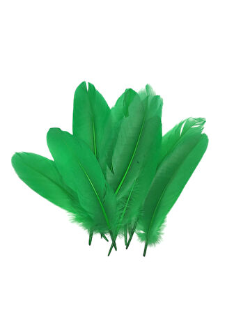 Yeşil Tüy El İşi Tüyleri, Okul Öncesi Etkinlik Tüy 10 Lu - 1 Paket