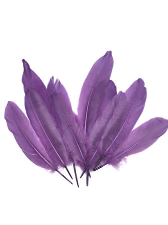 Mor Tüy El İşi Tüyleri, Okul Öncesi Etkinlik Tüy 10 Lu - 1 Paket