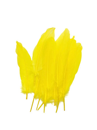 Sarı Tüy El İşi Tüyleri, Okul Öncesi Etkinlik Tüy 10 Lu - 1 Paket