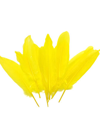 Sarı Tüy El İşi Tüyleri, Okul Öncesi Etkinlik Tüy 10 Lu - 1 Paket