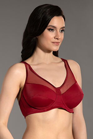 Kadın Bordo Transparan Detaylı Dolgusuz D Cup Sütyen