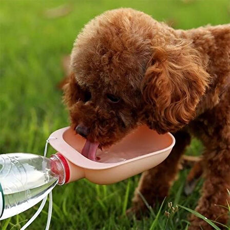 By Nevser® Evcil Hayvan Plastik Yıkanabilir Taşınabilir Su Şişesi Bağlantılı Su Kabı