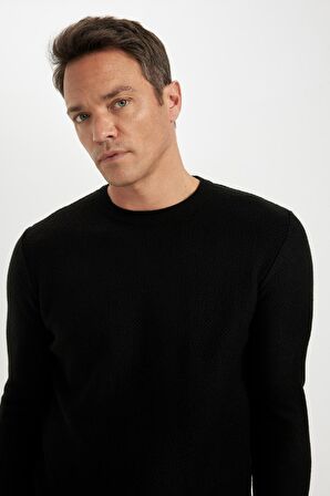 DeFacto Standart Fit Bisiklet Yaka Kazak C9618AX24AUBK27