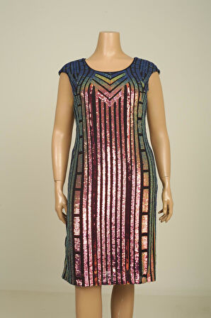 Kadın Pul İşleme Desenli Tırnak Kol B.B. Elbise