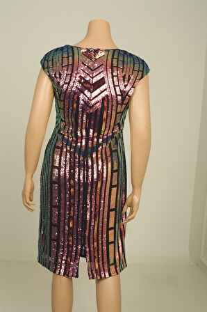 Kadın Pul İşleme Desenli Tırnak Kol B.B. Elbise