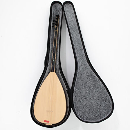 MSW-01 KISA SAP HARDCASE SİYAH TAŞIMA ÇANTASI PROFESYONEL