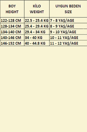 Kız Çocuk 3 Fiyonk Süslemeli Alt-Üst Takım 7-12 Yaş 12669BLT