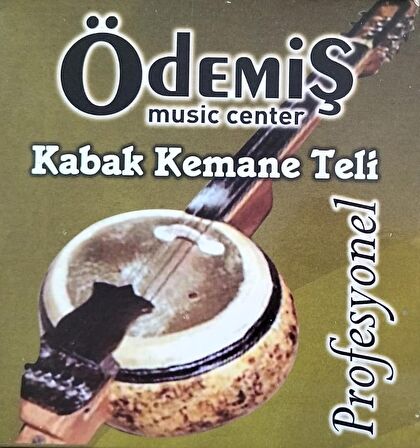 ÖDEMİŞ KABAK KEMANE TELİ TAKIM