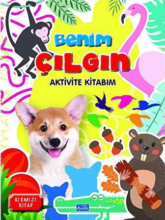 Benim Çılgın Aktivite Seti (4 Kitap)