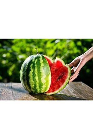 30 Adet İthal Crimson Sweet Karpuz Tohumu