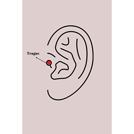 316l Çelik Gold Renk Pembe Mineli Kalp Zirkon Taş Detay Tragus Piercing - Tj-pr1260