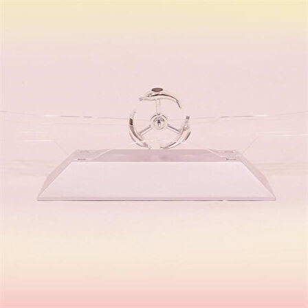 Buffer® Dekoratif Masa Üstü Obje Manyetik Kinetik Orbital Dönen Yunuslar