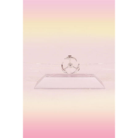 Buffer® Dekoratif Masa Üstü Obje Manyetik Kinetik Orbital Dönen Yunuslar