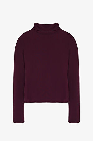 Boğazlı Uzun Kollu Basic Bluz Mürdüm