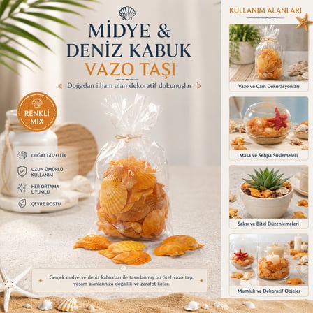 POŞETLİ RENKLİ MİX MİDYE - DENİZ KABUK VAZO TAŞI (5582)