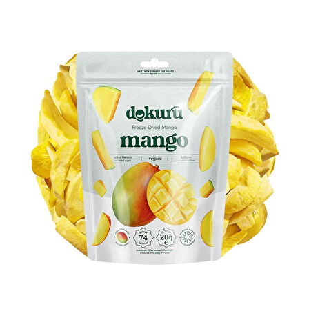 Dokuru Mango Kuru Meyve Cipsi 20 gr x 2 Adet