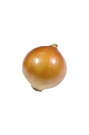 Tohum Kışlık Kuru Soğan Tohumu Yerli Tohum 50 Adet