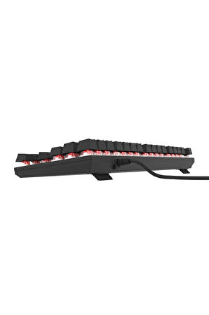 Hawk Gaming HK410K Mekanik Kırmızı Switch 19 Mod RGB Kablolu Siyah TKL Türkçe Gaming Klavye