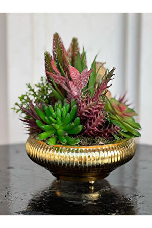Yapay Sukulentli Küçük Boy Çizgili Yassı Vazo No:2