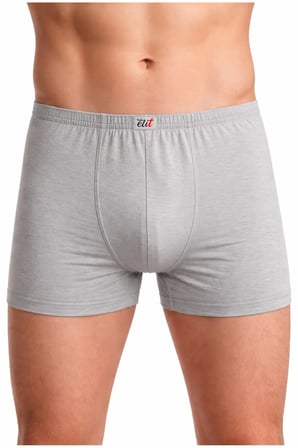 Erkek Bambu Boxer 2’li Ekonomik Paket – Nefes Alan, Terletmeyen, Esnek ve Rahat İç Çamaşırı-1254