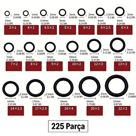 ct stones 225 Parça Kauçuk Conta Seti ,Kendiliğinden Saklama Kutulu O Halkası Seti
