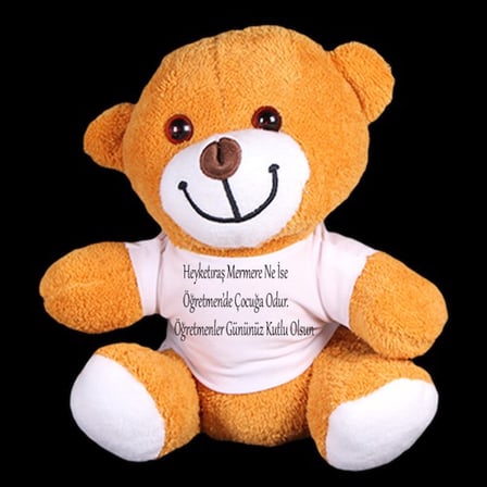 Trendexa Peluş Ayıcık Hediyelik Ürün Öğretmenler Günü Pembe 25 cm