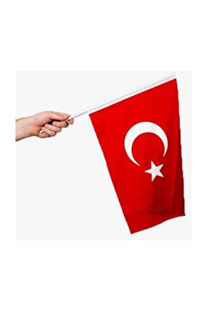 Vatan Bez Bayrak Sopalı 30x45 VT226--10 LU