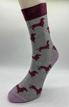 CİHO SOCKS Daily 5 Çift Kadın Pamuklu Günlük, Spor, Desenli Eğlenceli Soket Çorap
